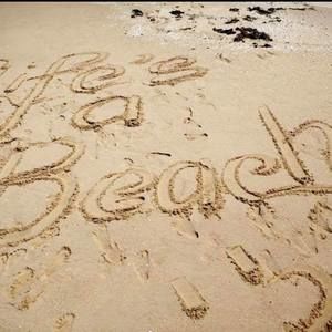 Meet your Posher, Jim-robin